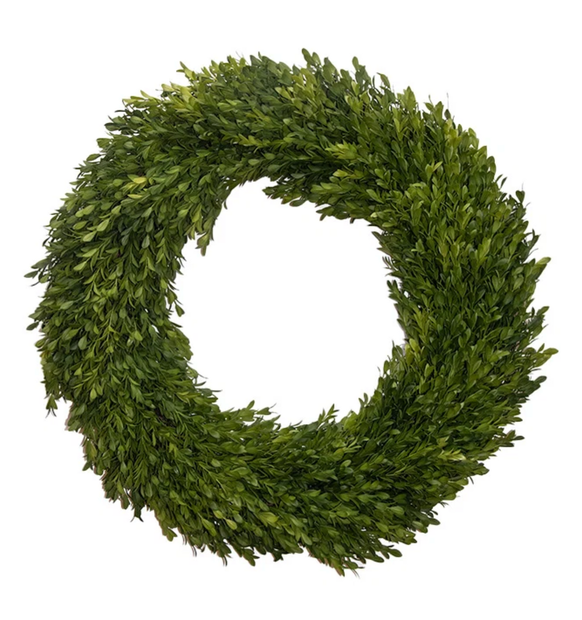 Round Boxwood Wreath 24"