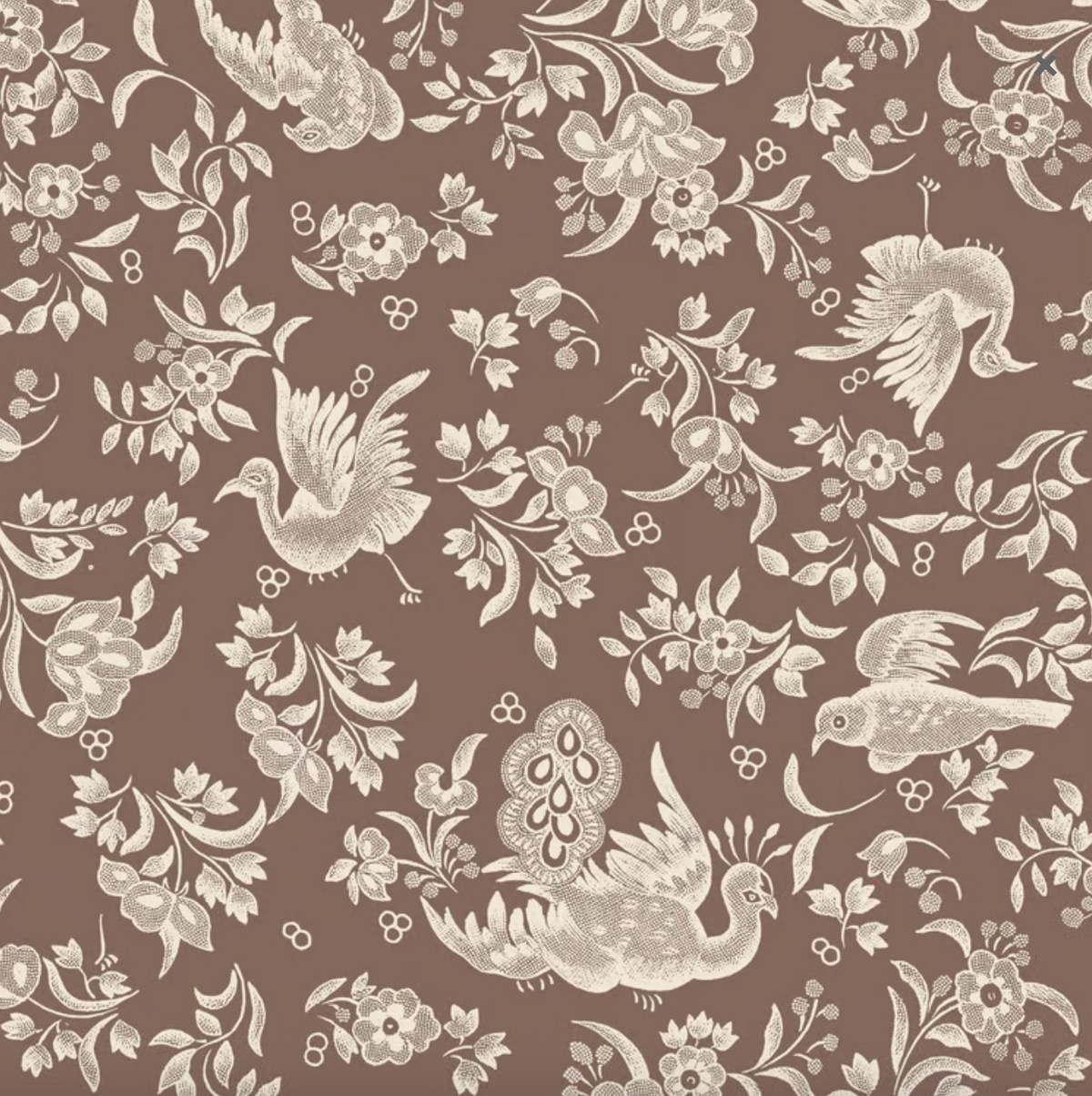 Brown Regal Peacock Cocktail Napkin