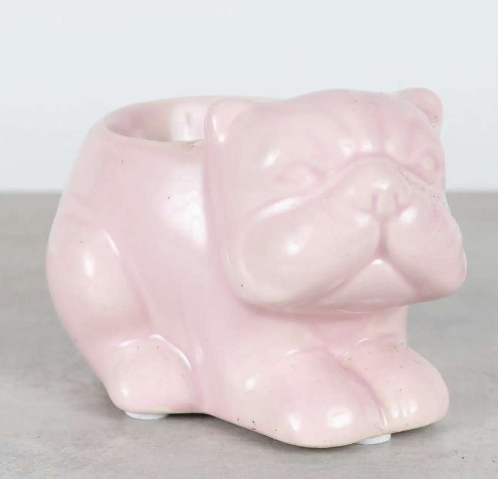 Mini Bulldog Ceramic Planter