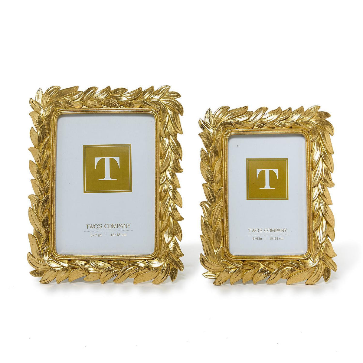 Gold leaves Frames