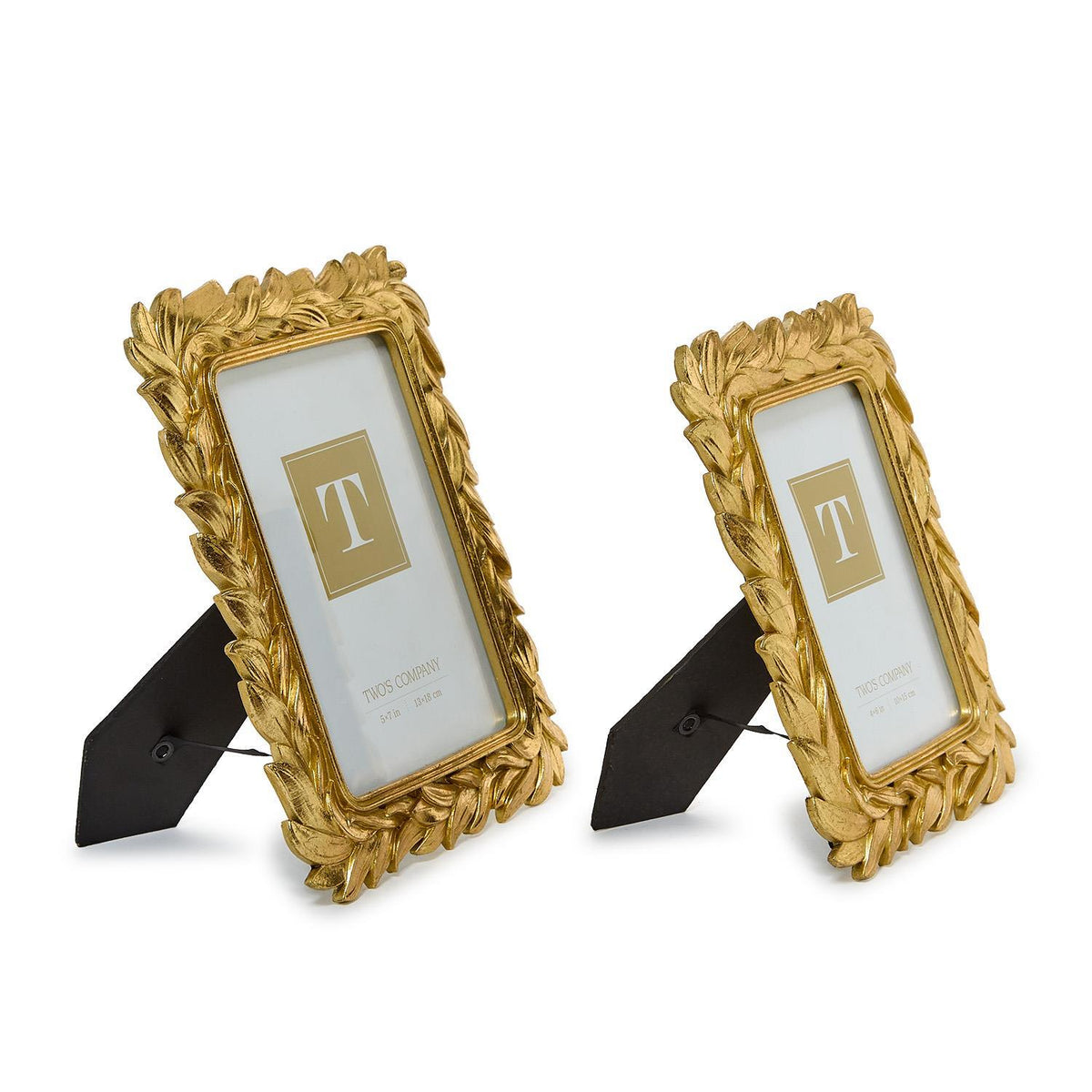 Gold leaves Frames