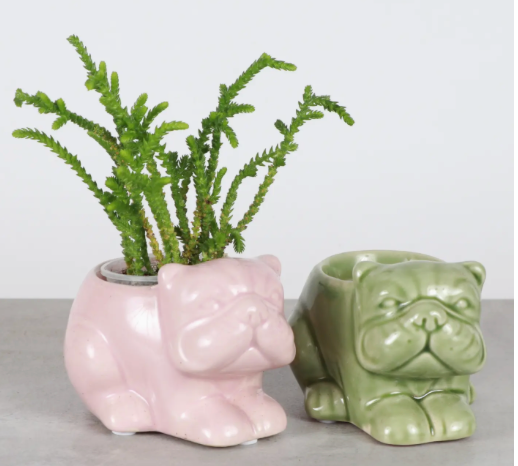 Mini Bulldog Ceramic Planter