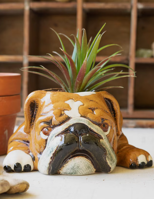 Ceramic Bulldog Planter